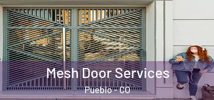 Mesh Door Services Pueblo - CO